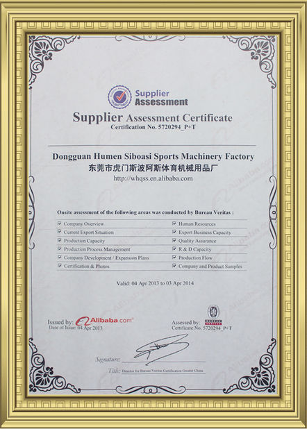 China Dongguan Skyegle Intelligent Technology Co.,Ltd. certification